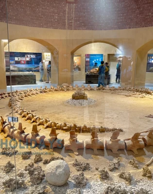 Fayoum Day Trip from Cairo
