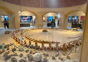 Fayoum Day Trip from Cairo