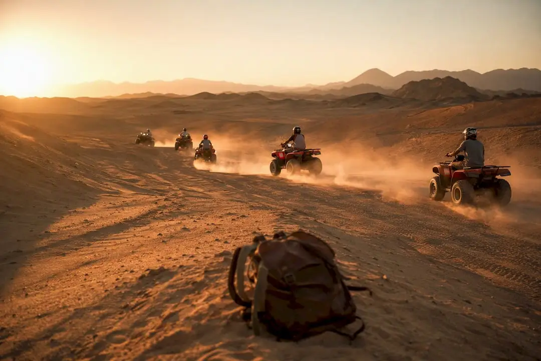 Desert Safari