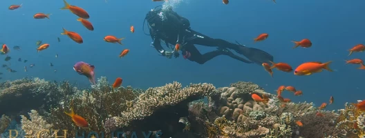 Amazing Hurghada Day Tours for Unforgettable Adventures