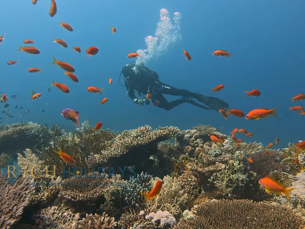 Amazing Hurghada Day Tours for Unforgettable Adventures