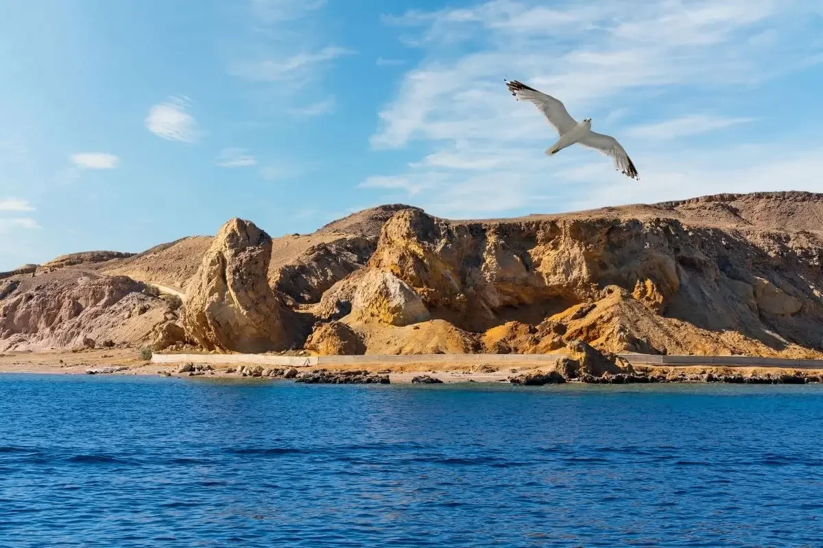 Ras Mohamed National Park in Egypt