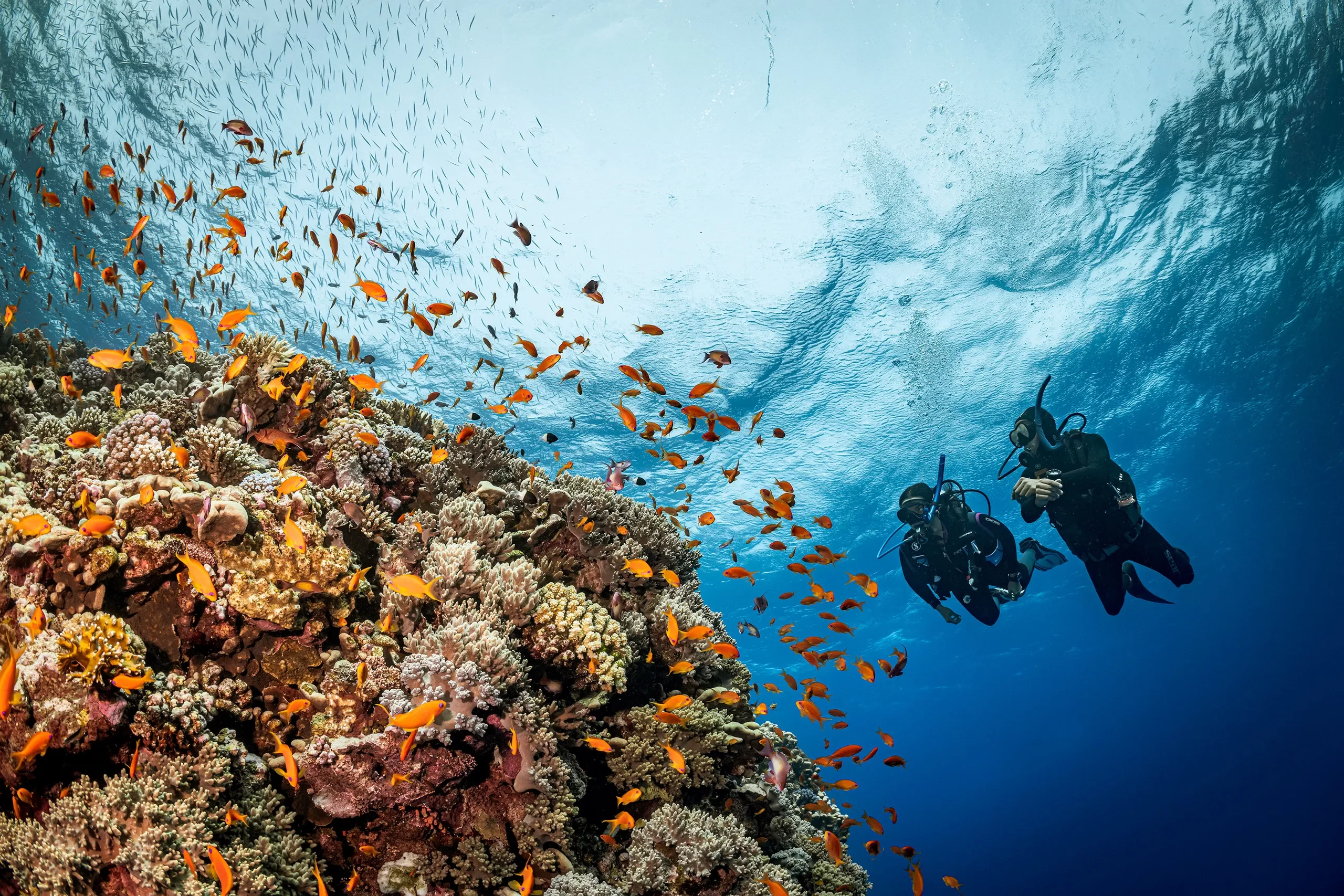 Scuba diving in Hurghada