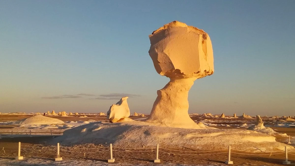 Bahariya Oasis & Black Desert