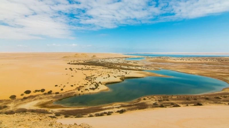 Fayoum Desert Safari