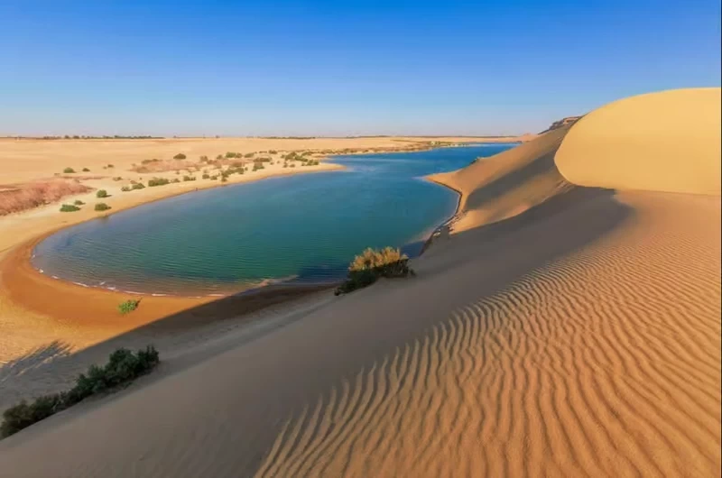 Fayoum Desert Adventure