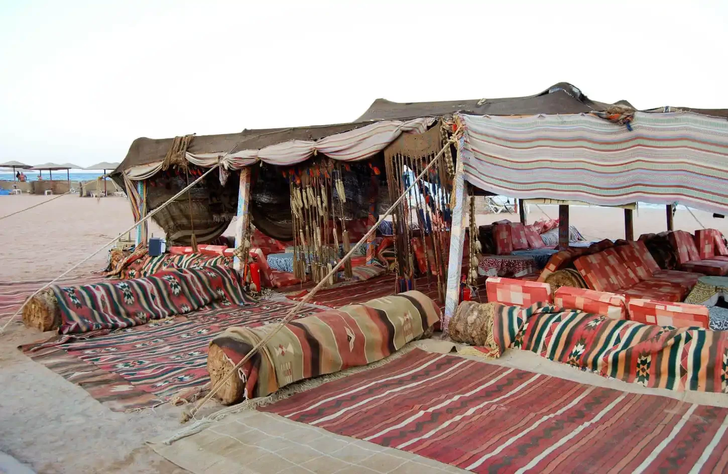 Traditional Bedouin experience in Egypt