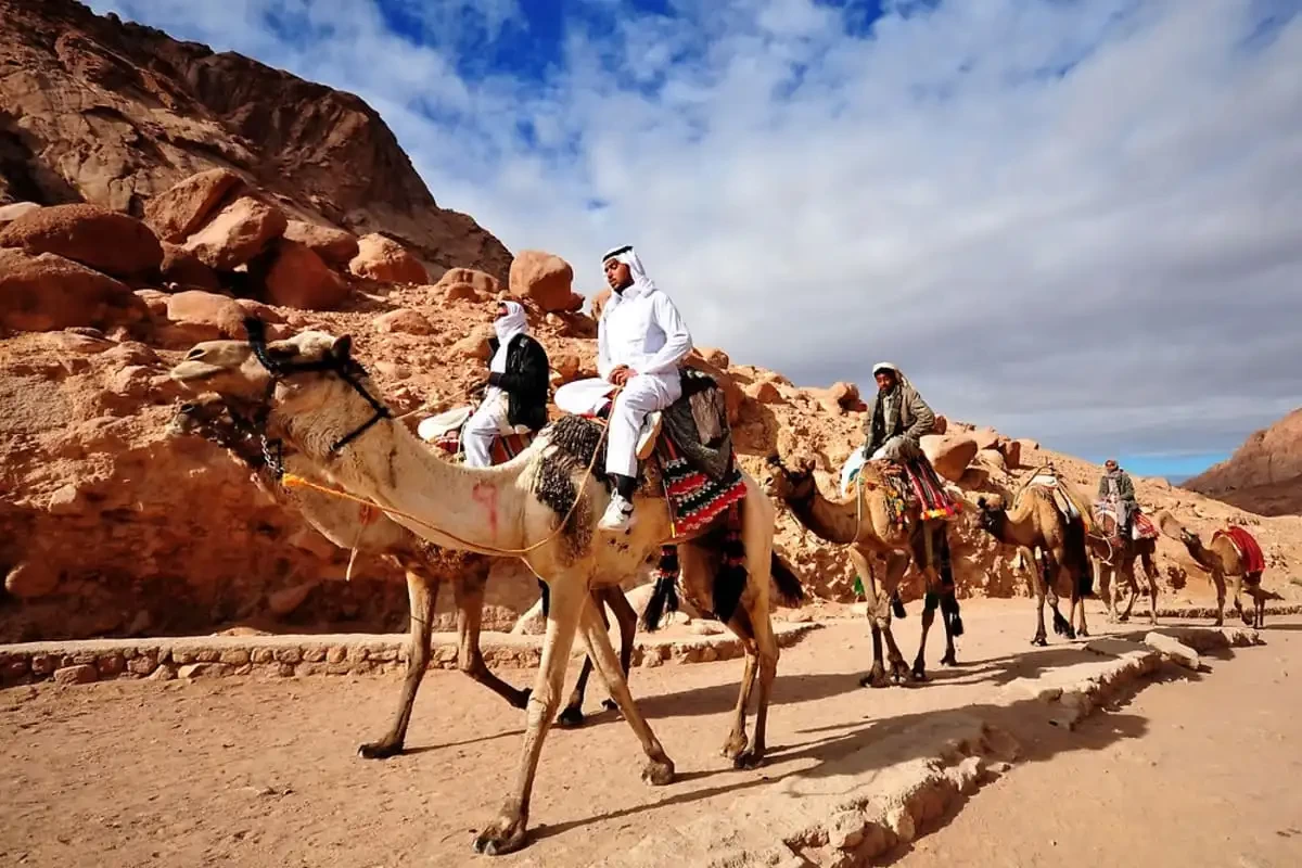 Camel riding in the Egyptian desert