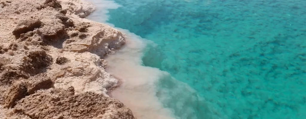 White salt formations around a Siwa lake