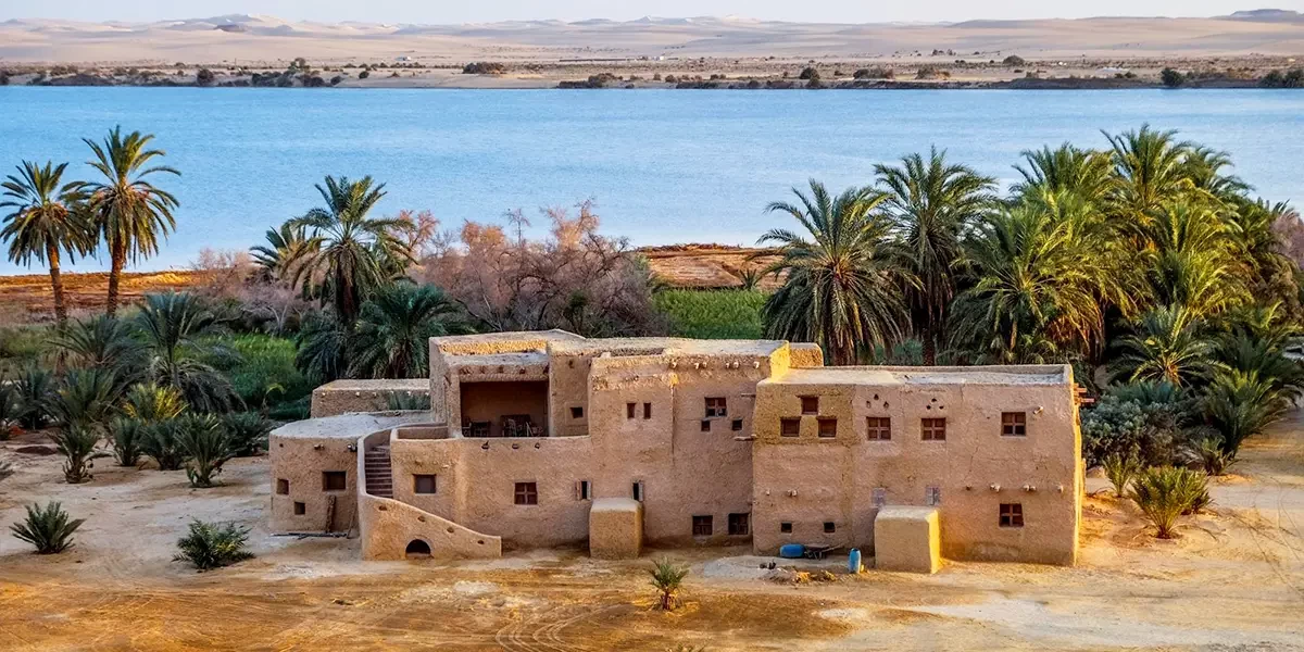Siwa Oasis famous for its natural springs, palm groves, salt lakes and desert landscapes.