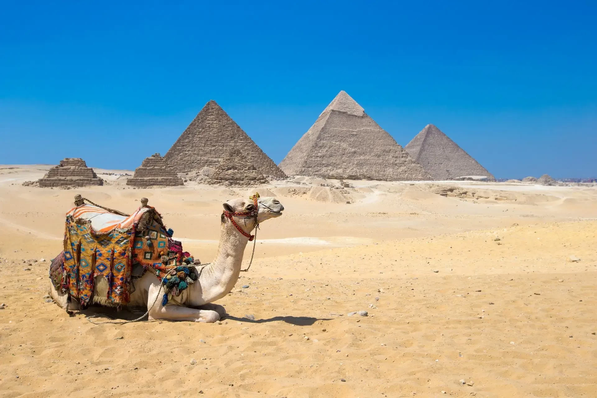 Camel Riding at the Giza Pyramids in Egypt