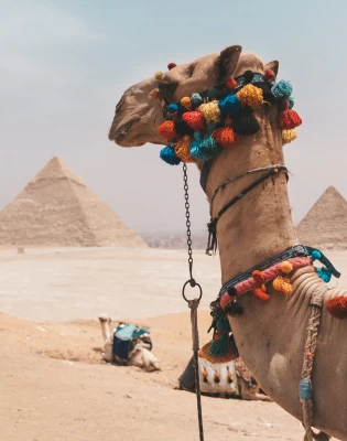 10 Day Luxury Egypt  Holiday with nile cruise