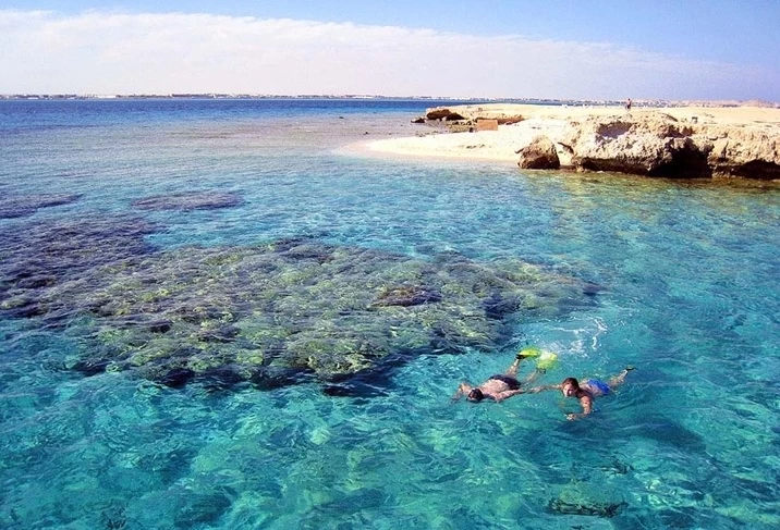 Marsa Alam Day Tour Exploring Red Sea Marine Life