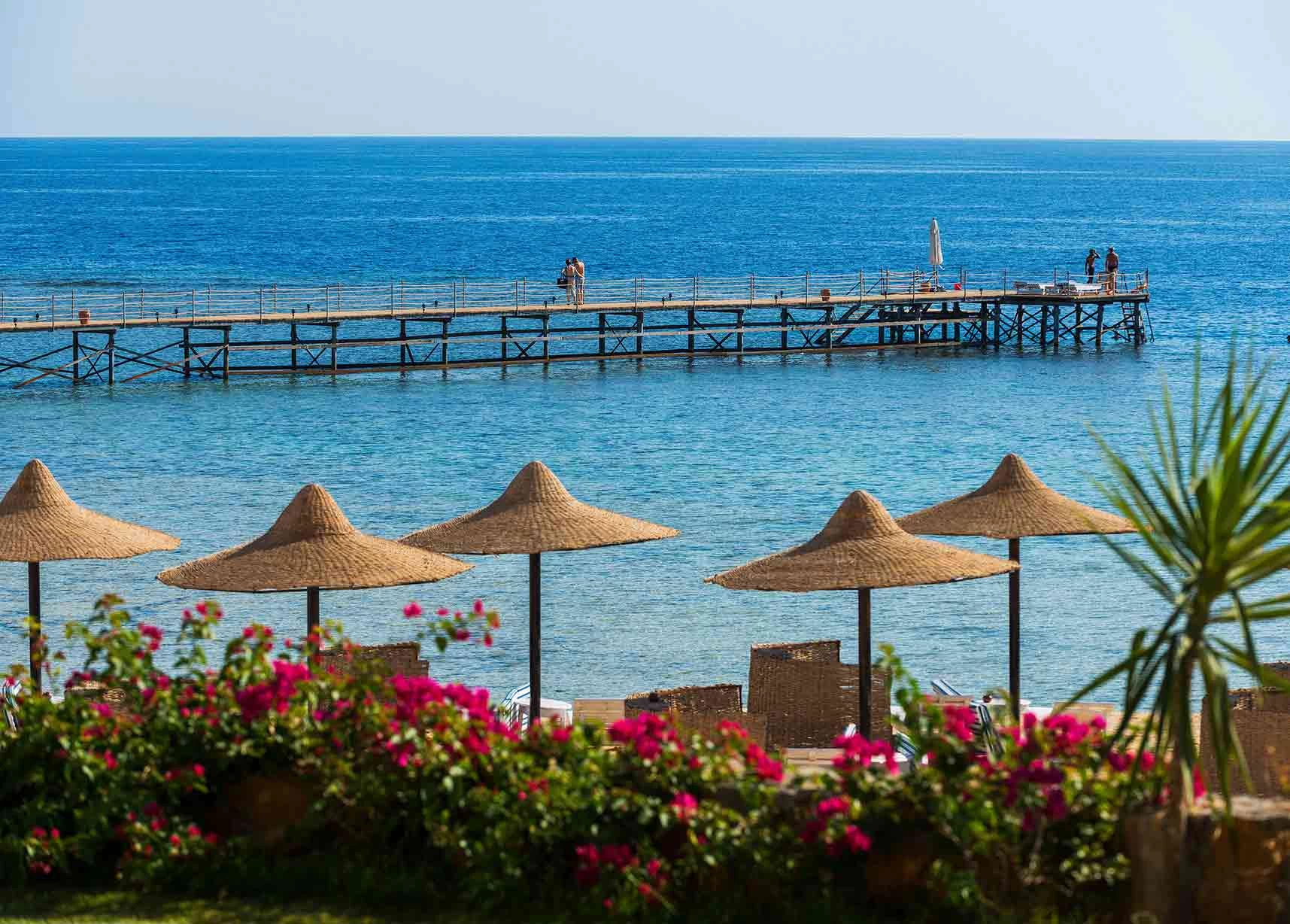 Marsa Alam Excursion Featuring Desert Safari Adventure