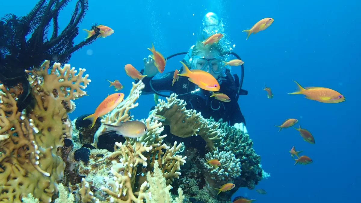 Diving