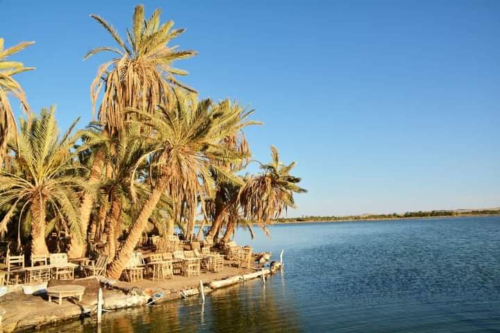 fatnas island