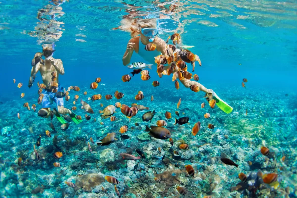Snorkeling at White Island Egypt